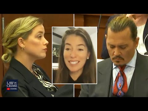 Johnny Depp's Agent & Divorce Lawyer Testify in Court (Johnny Depp v Amber Heard Trial)