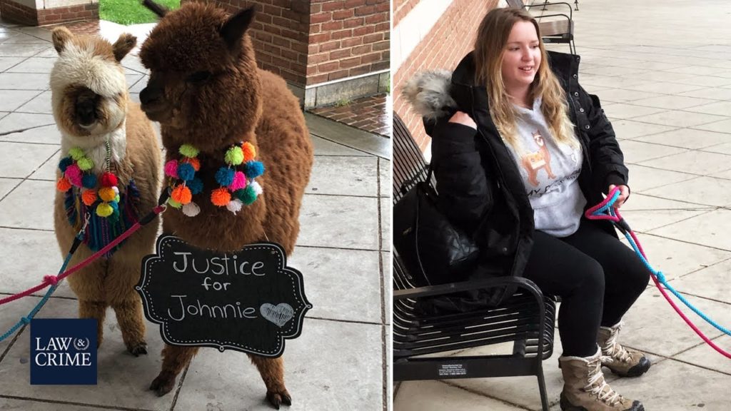 Johnny Depp Supporter Brought Alpacas to Cheer Him Up During Defamation Trial