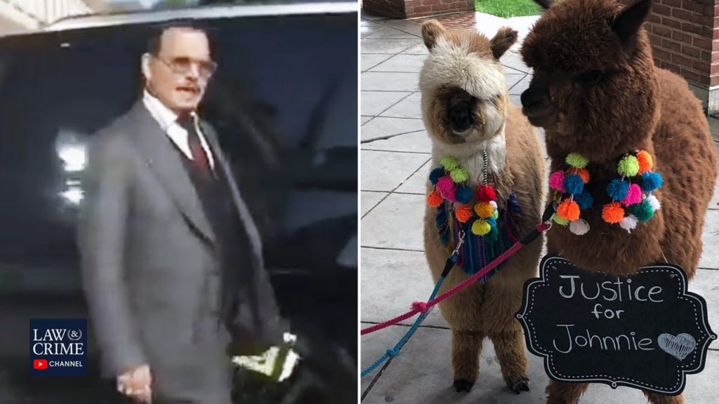 Johnny Depp Says "It's Alpaca Day" When Leaving Court on Thursday