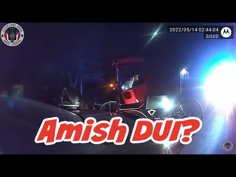 Drunk Amish Guy Passed Out In Buggy?