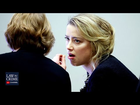 Can Amber Heard's Relationship History Be Used in Court? (Elon Musk, James Franco, Tasya Van Ree)