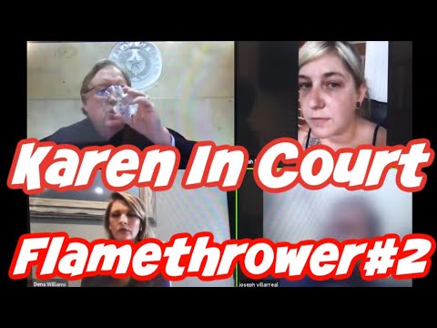 Flamethrower Karen In Court #2