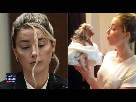 Amber Heard Wants $10M Judgment Thrown Out, FBI Assists Australia in Perjury Investigation