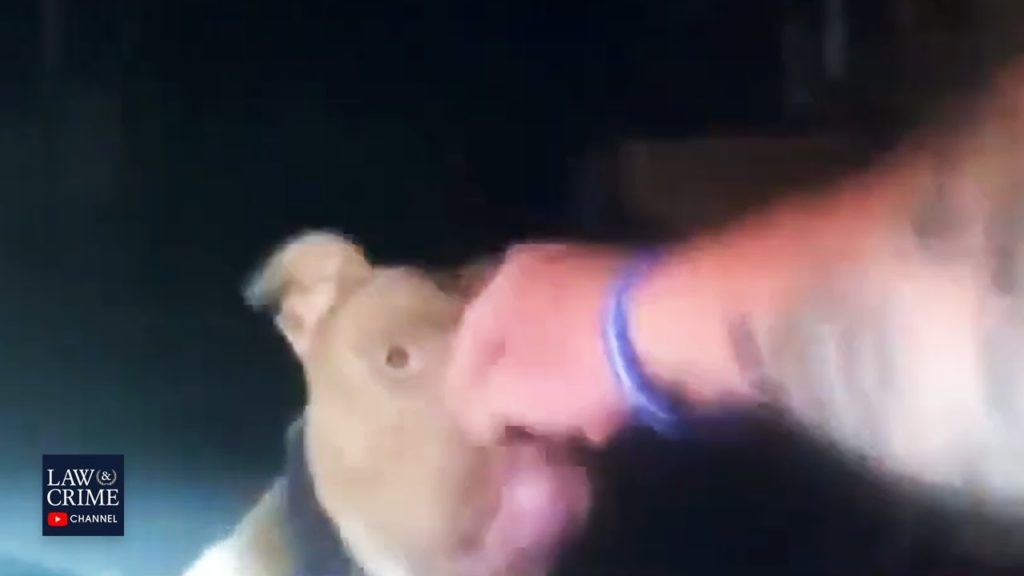 Alabama Police Officer Accidently Shoots Partner While Trying to Shoot Attacking Pit Bull