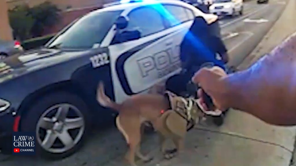 FULL Bodycam: Police Officer Tases Homeless Veteran’s Dog During Controversial Arrest