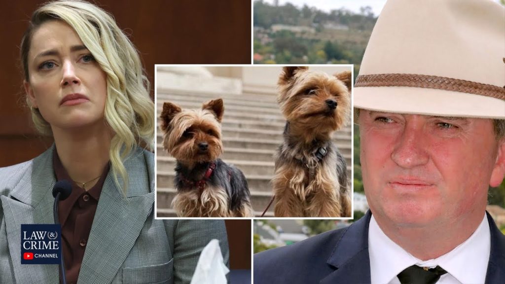 Australian Parliament Member Discusses Amber Heard Perjury Investigation