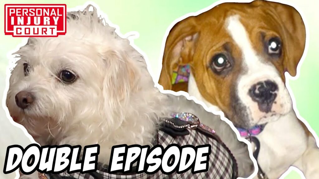 Worst Dog Injury Cases - Up To $280,000! | Double Episode | Personal Injury Court