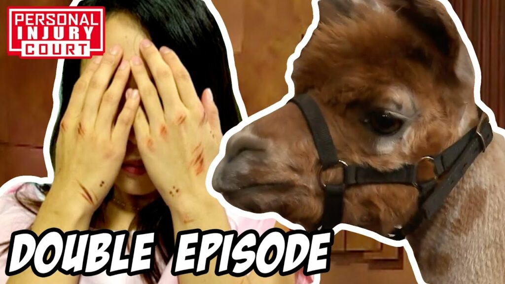 Animals Cause Injuries Worth $100,000! | Double Episode | Personal Injury Court